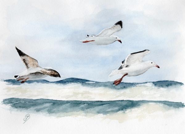 Postkarte DIN-A6  Aquarell Maritim Kunst Druck Dänemark Nordsee Ostsee Düne Dünen Meer Möwe Möwen Strand